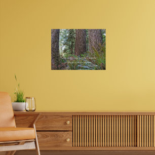 John Muir Zitat über Waldwildnis Natur Poster