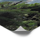 John Muir: "Zwischen zwei Kiefern ist eine Tür" Poster (Ecke)