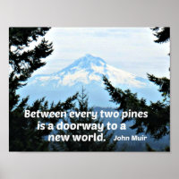 John Muir: "Zwischen zwei Kiefern ist eine Tür"