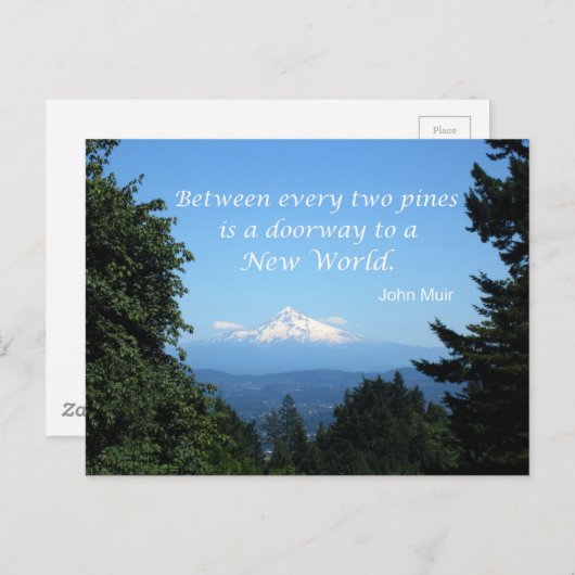 John Muir: "Zwischen zwei Kiefern ist eine Tür" Postkarte (Vorne/Hinten)