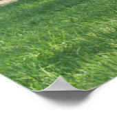 John Oliver Black Bear Cabin Poster (Ecke)