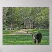 John Oliver Black Bear Cabin Poster (Vorne)