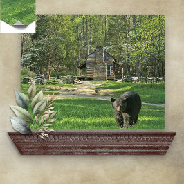 John Oliver Black Bear Cabin Poster