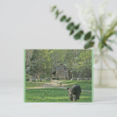 John Oliver Cabin Postkarte (Stehend Vorderseite)