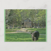 John Oliver Cabin Postkarte (Vorderseite)