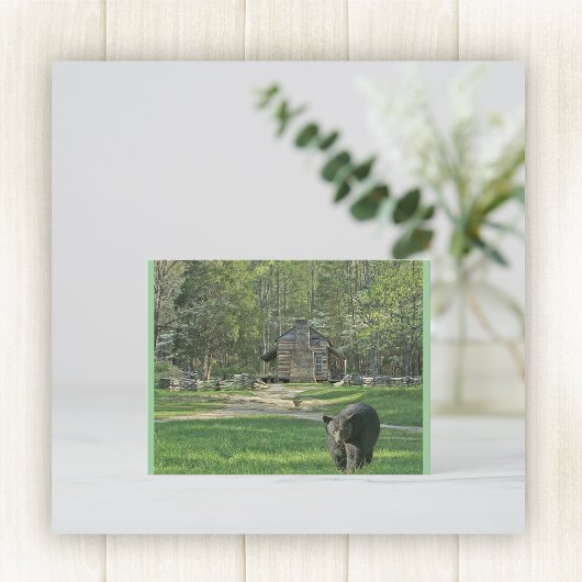 John Oliver Cabin Postkarte