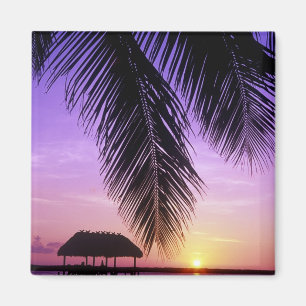 John Pennekamp Staat Park, Florida Keys, Key Magnet