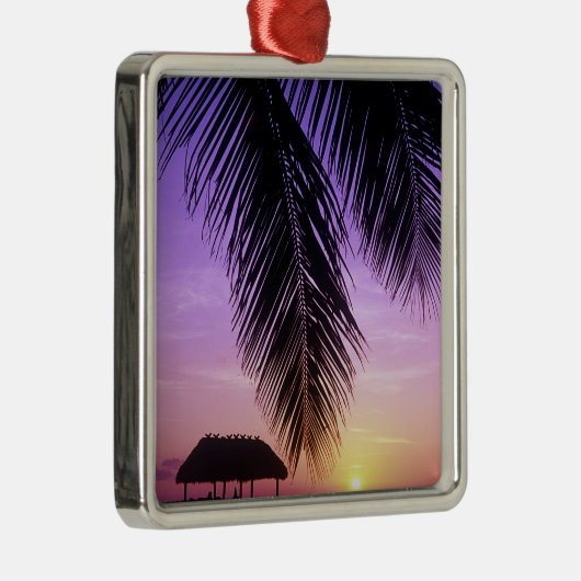 John Pennekamp Staat Park, Florida Keys, Key Silbernes Ornament (Rechts)