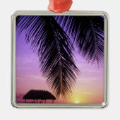 John Pennekamp Staat Park, Florida Keys, Key Silbernes Ornament (Vorne)