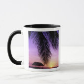 John Pennekamp Staat Park, Florida Keys, Key Tasse (Links)