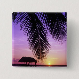 John Pennekamp State Park, Florida Keys, Key Button