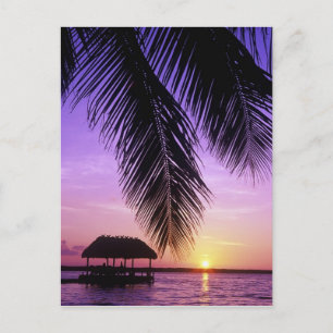 John Pennekamp State Park, Florida Keys, Key Postkarte