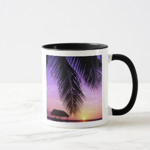 John Pennekamp State Park, Florida Keys, Key Tasse
