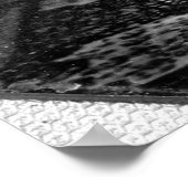 John Quincy Adams Poster (Ecke)