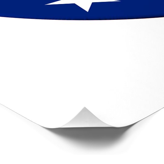 John R. Lewis Voting Rights AdvancAct Poster (Ecke)