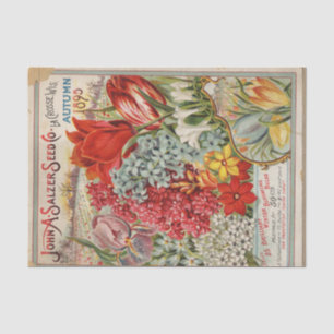 John Salzer Herbst 1895 Vintager Saatkatalog Seidenpapier