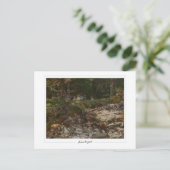 John Singer Sargent #7 - Fine Art Postkarte (Stehend Vorderseite)