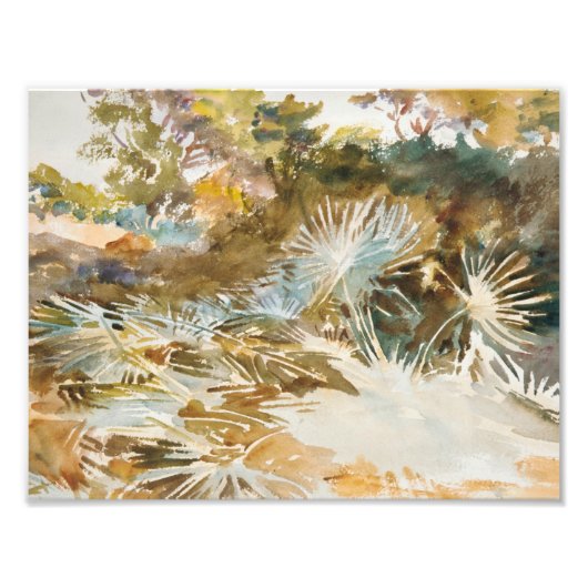 John Singer Sargent - Landschaft mit Palmettos Fotodruck (Vorne)