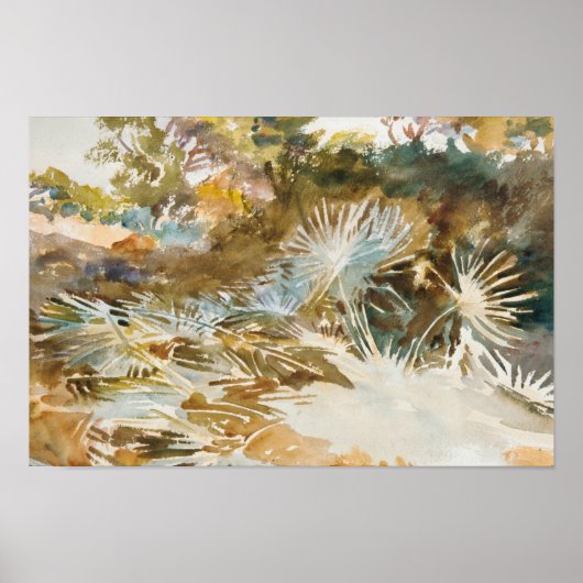 John Singer Sargent - Landschaft mit Palmettos Poster (Vorne)
