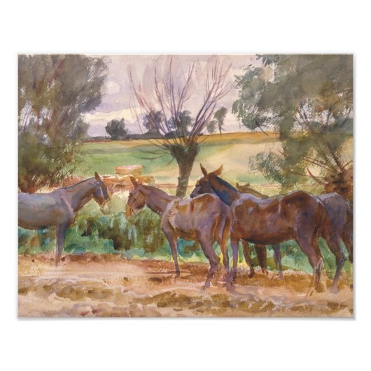 John Singer Sargent - Mules Fotodruck (Vorne)