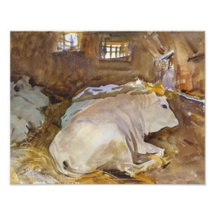 John Singer Sargent - Oxen Fotodruck