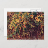 John Singer Sargent - Pomegranates Postkarte (Vorne/Hinten)