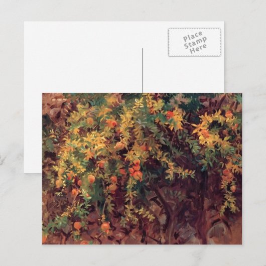 John Singer Sargent - Pomegranates Postkarte (Vorne/Hinten)