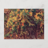 John Singer Sargent - Pomegranates Postkarte (Vorderseite)