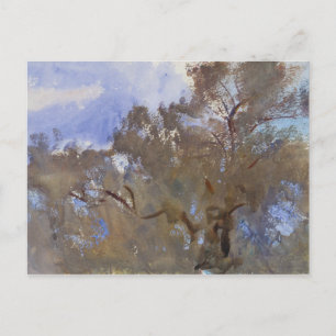 John Singer Sargent - Treetops against Sky Postkarte