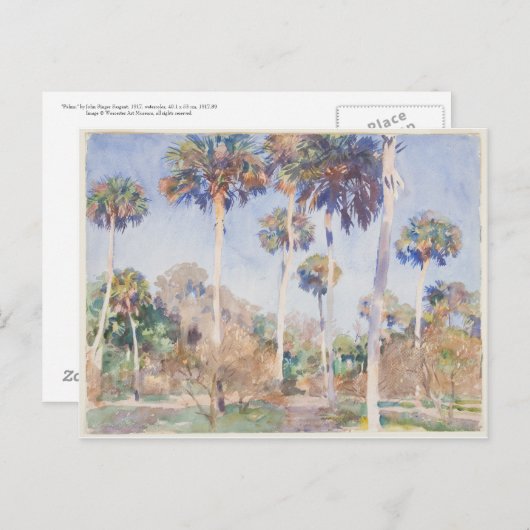 John Singer Sargent Watercolor - Palms Postkarte (Vorne/Hinten)