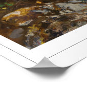 John Singer Sargent Zedign Art Poster #7 (Ecke)