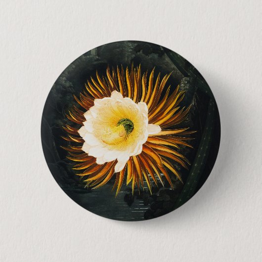 John Thornton The Night-Blaswing Cereus Botanical Button (Vorderseite)