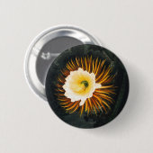 John Thornton The Night-Blaswing Cereus Botanical Button (Vorne & Hinten)