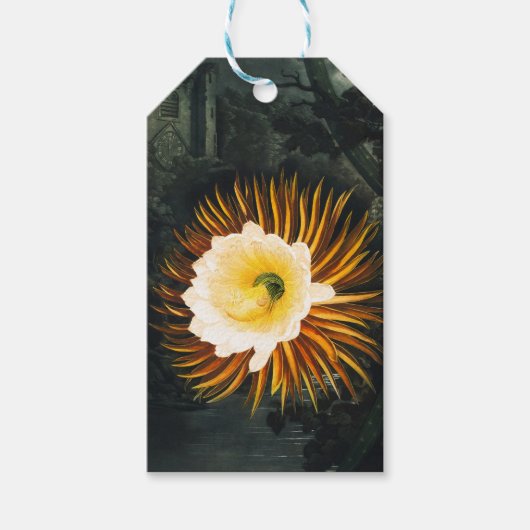 John Thornton The Night-Blaswing Cereus Botanical Geschenkanhänger (Vorderseite)