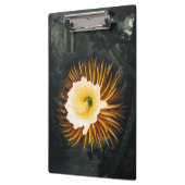 John Thornton The Night-Blaswing Cereus Botanical Klemmbrett (Links)