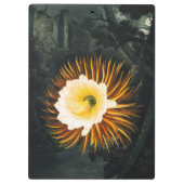 John Thornton The Night-Blaswing Cereus Botanical Klemmbrett (Rückseite)