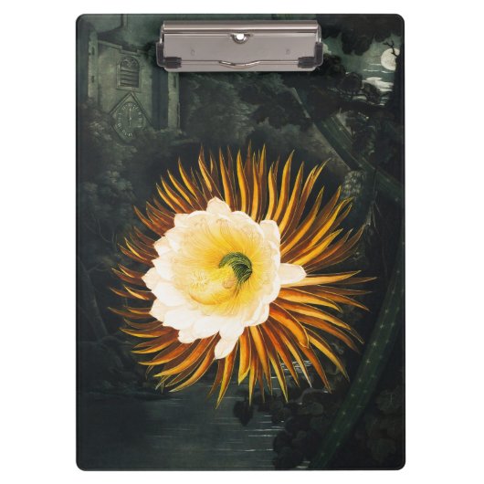 John Thornton The Night-Blaswing Cereus Botanical Klemmbrett (Vorderseite)