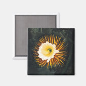 John Thornton The Night-Blaswing Cereus Botanical Magnet (Vorderseite/Rückseite)