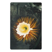 John Thornton The Night-Blaswing Cereus Botanical Mini Klemmbrett (Rückseite)