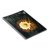 John Thornton The Night-Blaswing Cereus Botanical Notizblock (Rechte Seite)