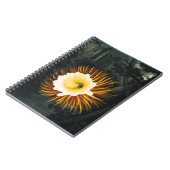 John Thornton The Night-Blaswing Cereus Botanical Notizblock (Linke Seite)