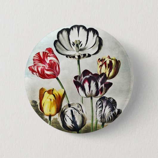 John Thornton Tulips aus dem Tempel der Flora Button (Vorderseite)