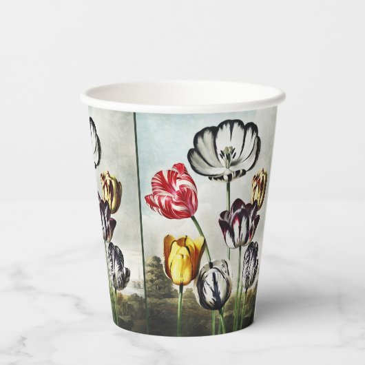 John Thornton Tulips aus dem Tempel der Flora Pappbecher (Rückseite)