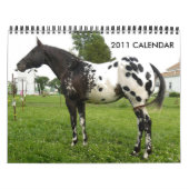 JOHN- UND MARIE-CRAIG FAMILIEAPPALOOSAS KALENDER (Titelbild)
