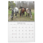 JOHN- UND MARIE-CRAIG FAMILIEAPPALOOSAS KALENDER (Feb 2026)