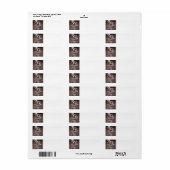 John William Waterhouse - Boreas (Vorne)