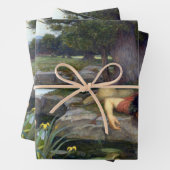 John William Waterhouse Echo und Narcissus Poster Geschenkpapier Set (Beispiel)