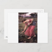 John William Waterhouse - Narcissus - Fine Art Postkarte (Vorne/Hinten)