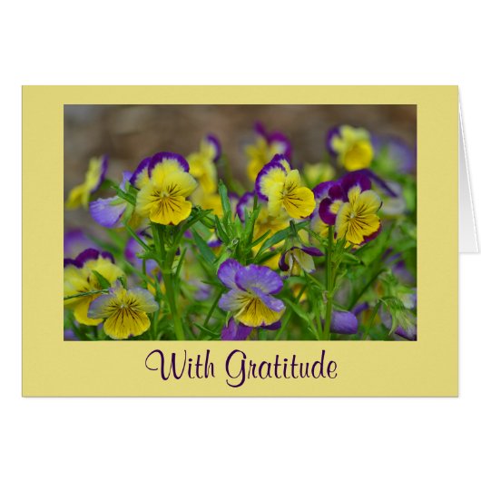 Johnny Jump Up Danke-Karte (Vorderseite (Horizontal))