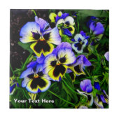 Johnny Jump Up Fliese (Vorderseite)